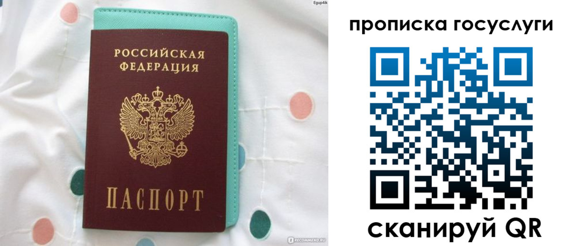 прописка поиск в Заполярном